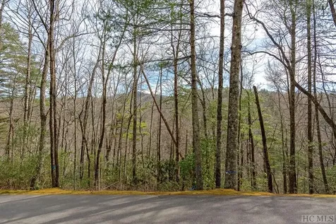 96A & 98 Wandering Ridge Glenville NC 28736