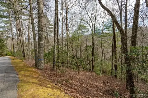 96A & 98 Wandering Ridge Glenville NC 28736