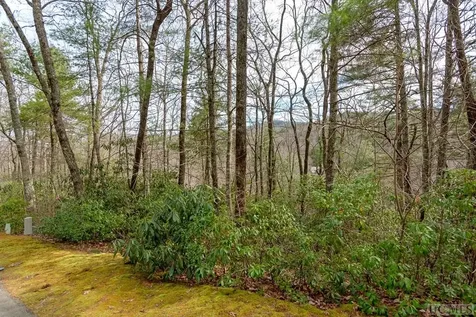 96A & 98 Wandering Ridge Glenville NC 28736