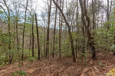 96A & 98 Wandering Ridge Glenville NC 28736