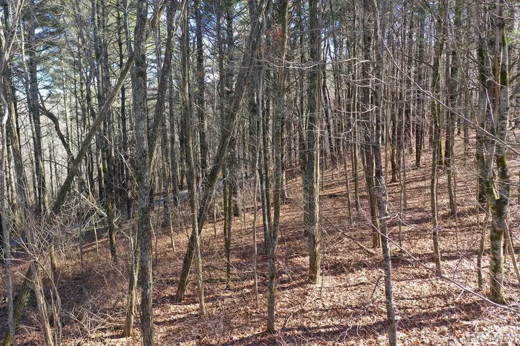 6 Receptive Drive Glenville NC 28736