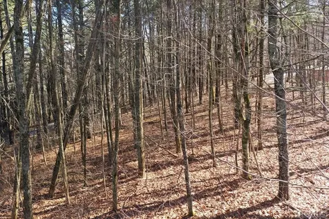 6 Receptive Drive Glenville NC 28736