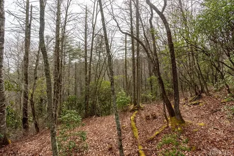 Lot 24 Creekside Trail Cullowhee NC 28723