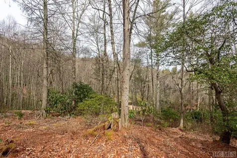 Lot 24 Creekside Trail Cullowhee NC 28723