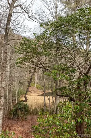 Lot 24 Creekside Trail Cullowhee NC 28723
