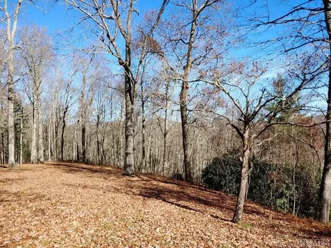 427 Fenley Forest Trail Cullowhee NC 28723