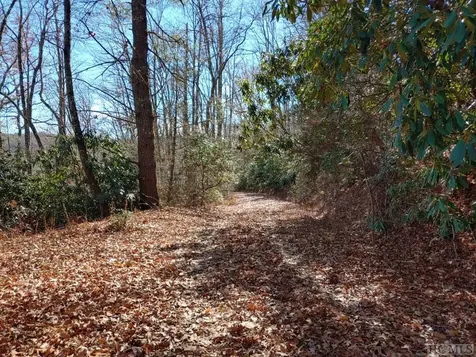 427 Fenley Forest Trail Cullowhee NC 28723