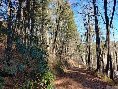 427 Fenley Forest Trail Cullowhee NC 28723