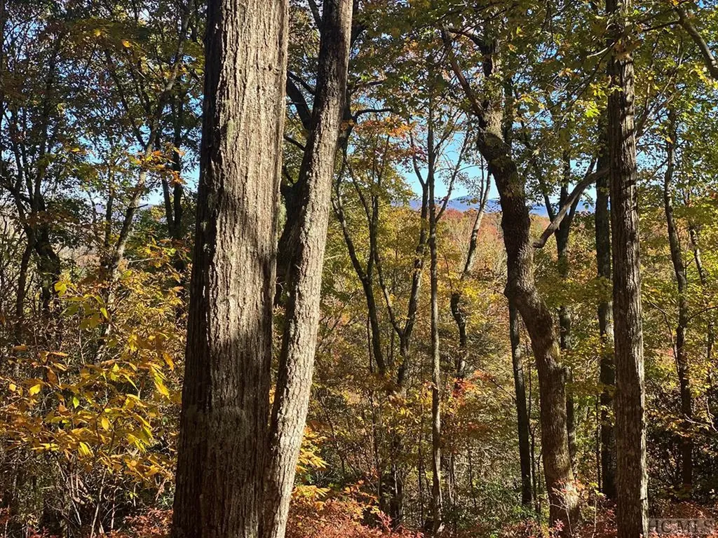 Lot 33 Gentle Breeze Lane Glenville NC 28736