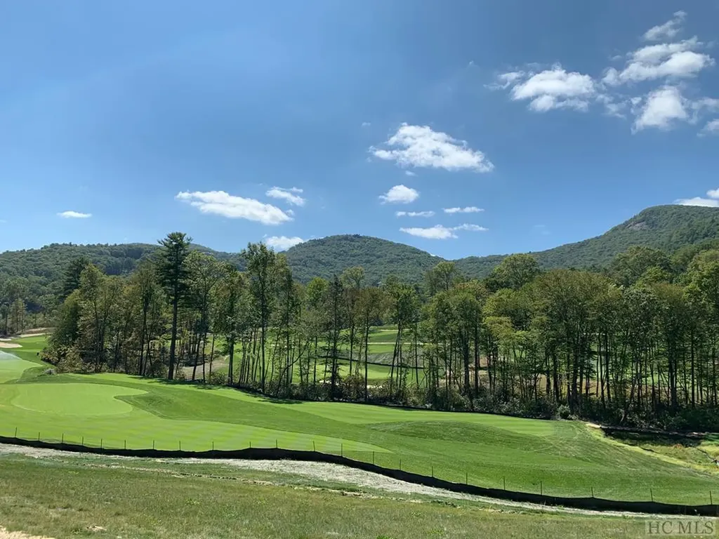50 Baby Bear Loop Cashiers NC 28717