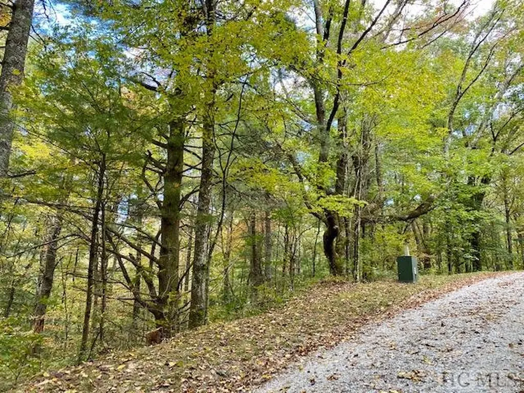 33/34 Strawberry Branch Drive Scaly Mountain NC 28775