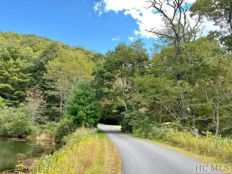 33/34 Strawberry Branch Drive Scaly Mountain NC 28775