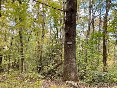 33/34 Strawberry Branch Drive Scaly Mountain NC 28775