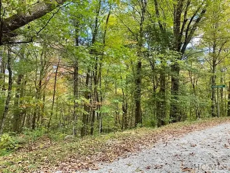 33/34 Strawberry Branch Drive Scaly Mountain NC 28775