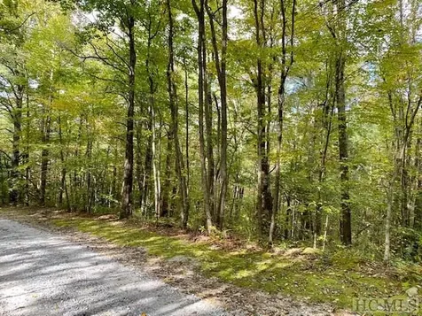 33/34 Strawberry Branch Drive Scaly Mountain NC 28775