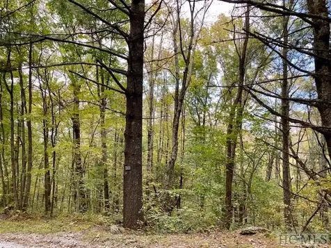 33/34 Strawberry Branch Drive Scaly Mountain NC 28775