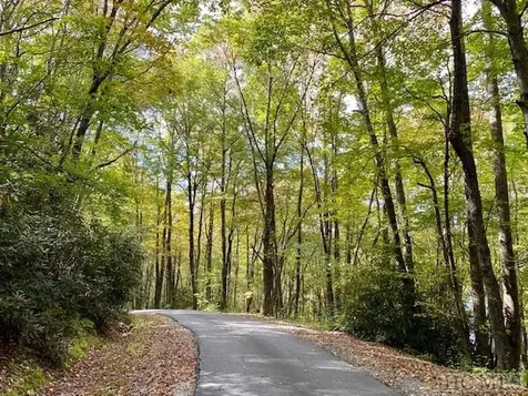 33/34 Strawberry Branch Drive Scaly Mountain NC 28775