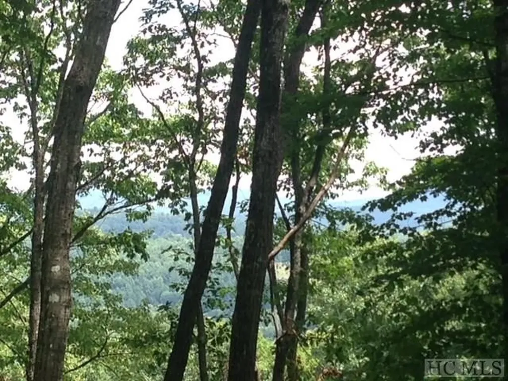 194 Shortoff Shadow Trail Highlands NC 28741