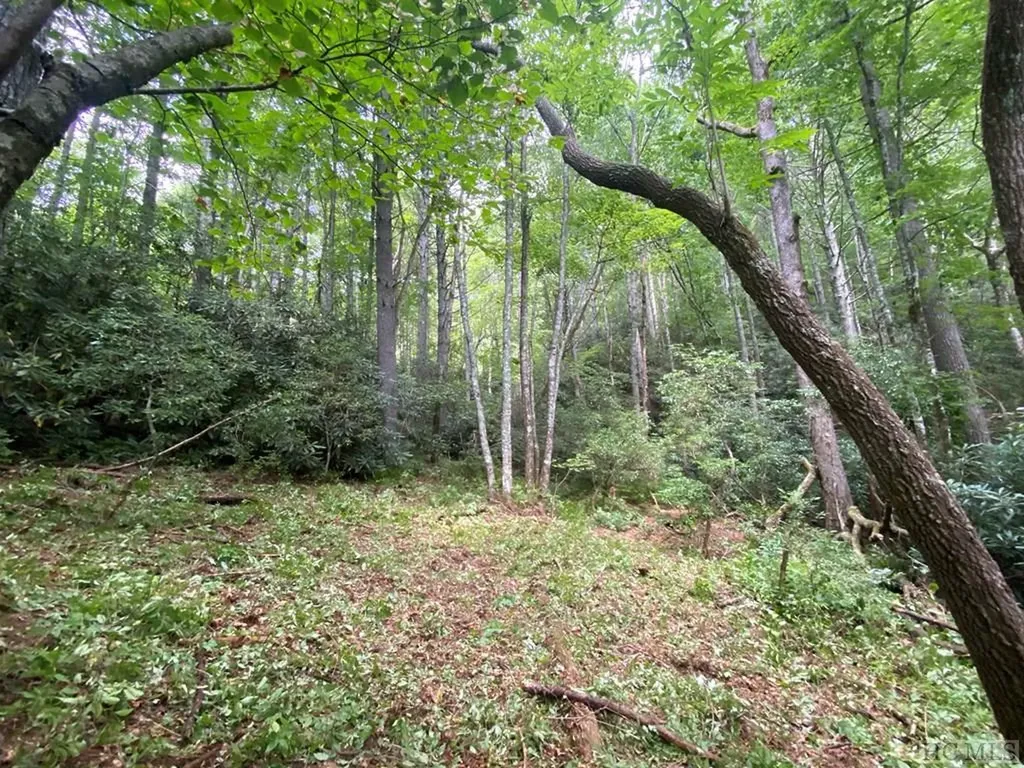 Lot 8 Wandering Ridge Cashiers NC 28717