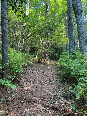 Lot 8 Wandering Ridge Cashiers NC 28717