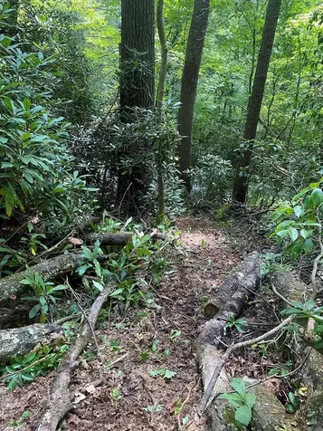Lot 8 Wandering Ridge Cashiers NC 28717