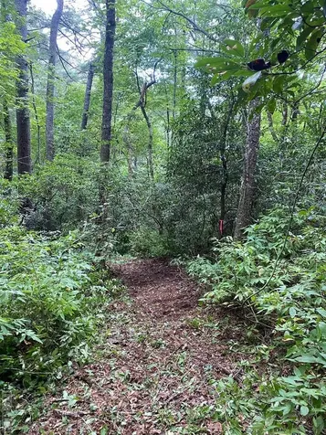 Lot 8 Wandering Ridge Cashiers NC 28717