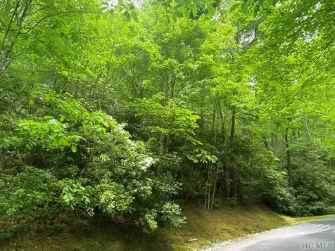 Lot 8 Wandering Ridge Cashiers NC 28717