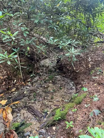 Lot 8 Wandering Ridge Cashiers NC 28717