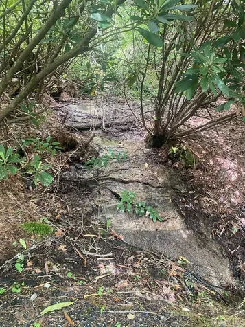 Lot 8 Wandering Ridge Cashiers NC 28717