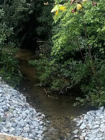 Lot 8 Wandering Ridge Cashiers NC 28717