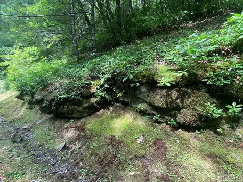 Lot 8 Wandering Ridge Cashiers NC 28717