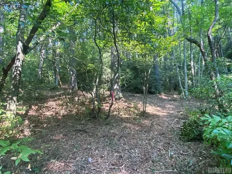 Lot 8 Wandering Ridge Cashiers NC 28717