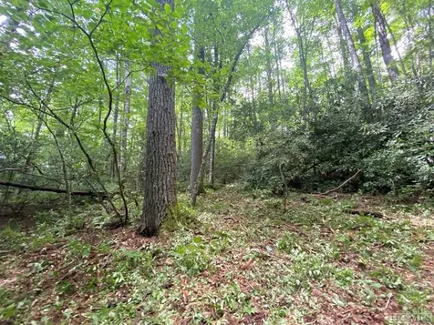 Lot 8 Wandering Ridge Cashiers NC 28717