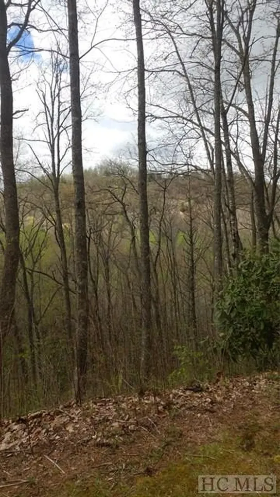 Lot 5 North Captiva Mountain Cullowhee NC 28723