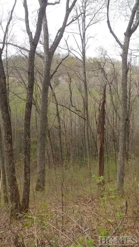 Lot 7 Captiva Mountain Drive Cullowhee NC 28723