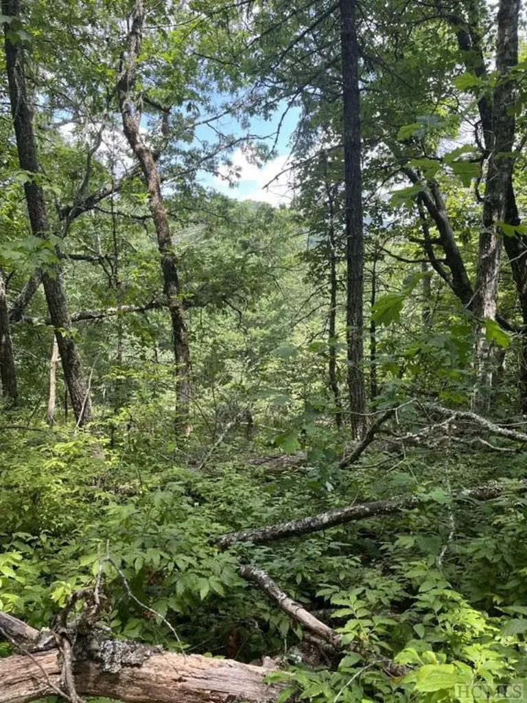 B Undala Road Glenville NC 28736