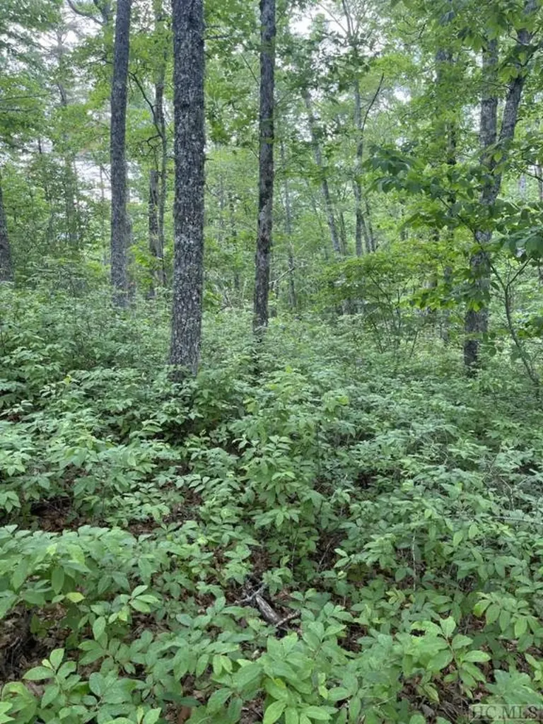 B Undala Road Glenville NC 28736