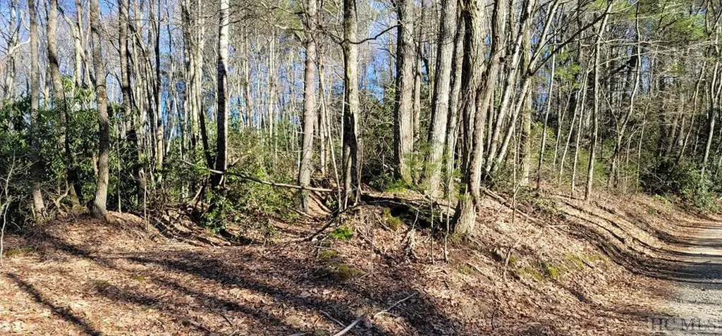 0 Evans Creek Road Scaly Mountain NC 28755