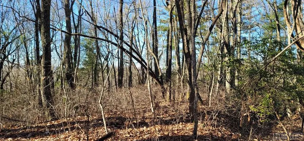 0 Evans Creek Road Scaly Mountain NC 28755