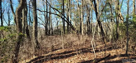 0 Evans Creek Road Scaly Mountain NC 28755