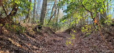 0 Evans Creek Road Scaly Mountain NC 28755