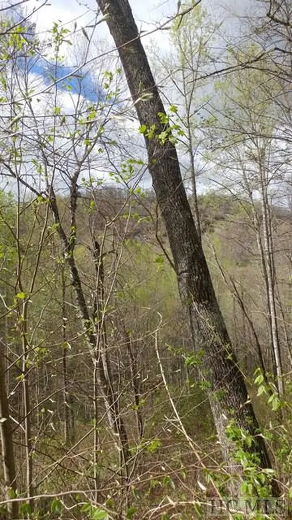 Lot 6 Captiva Mountain Drive Cullowhee NC 28723