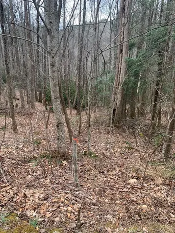 L 2hr Turkey Roost Road Sapphire NC 28774