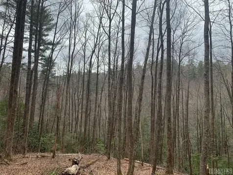 L 2hr Turkey Roost Road Sapphire NC 28774