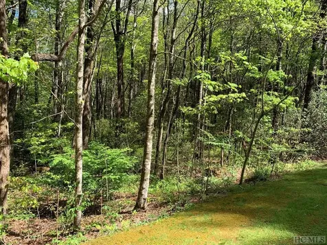 L 2hr Turkey Roost Road Sapphire NC 28774