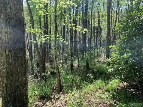 L 2hr Turkey Roost Road Sapphire NC 28774