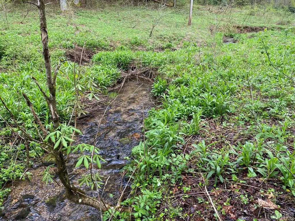 Off 1624 Shoal Creek Road Scaly Mountain NC 28775