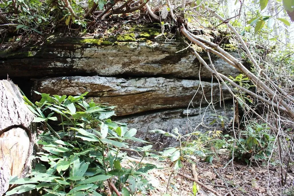 516 Narrows Road Sapphire NC 28774