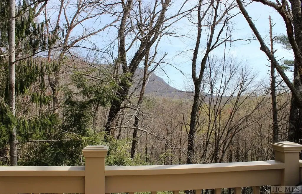 516 Narrows Road Sapphire NC 28774