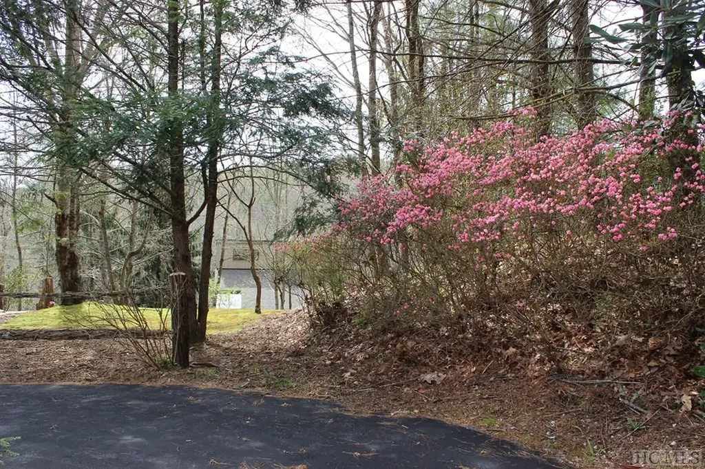 516 Narrows Road Sapphire NC 28774